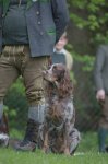 Hundepräsentation 2019